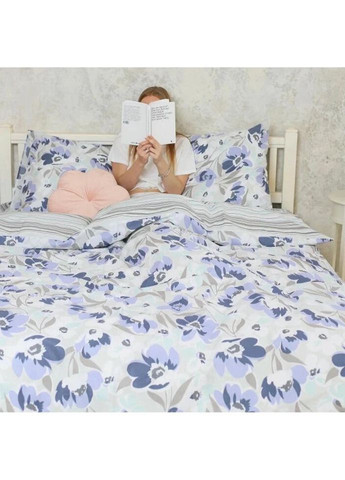 Постельное белье семейное Ранфорс 22196-S 210х143х2 см Viluta (336328510)
