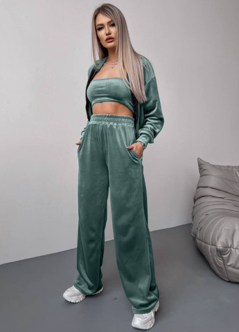 Базовий повсякденний велюровий костюм двійка: вкорочений худі на блискавці + штани Tik-Tak (325608961)