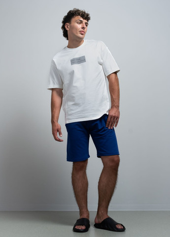 Шорты мужские синие 103299 Power (300151108)