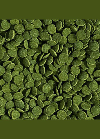 DAJANA SPIRULINA WAFERS Спеціальний корм для донних травоїдних риб у таблетках/чіпсах 100 мл / 40 г (8594000253525) Dajana Pet (316135274)