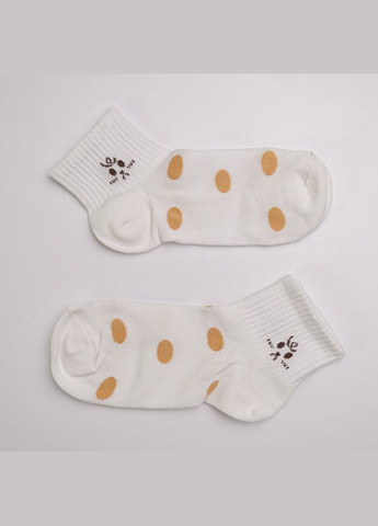 Белые набор носков женских хлопковых 10 пар youstar 093 низкие 37-41 белый GM Textile (339042286)