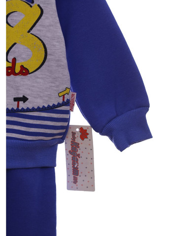 Блакитний демісезонний костюм на флісі для хлопчика трикотажний sk-8 блакитний 74 см (41709) Enzo Minix