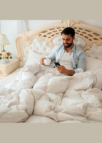 Ковдра Raffaello 051 демі 200x220 см 8061798 Mirson (316614118)