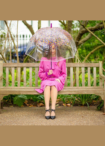 Прозрачный зонт большой с цветочками для женщин l042 birdcage-2 hippie scatter (разноцветные незабудки) Fulton (334014757)