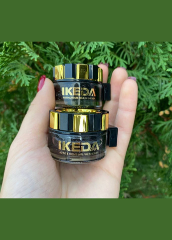 Ароматизатор для авто IKEDA Secret Musk Освежитель воздуха 2шт - Ароматизаторы No Brand (342369319)