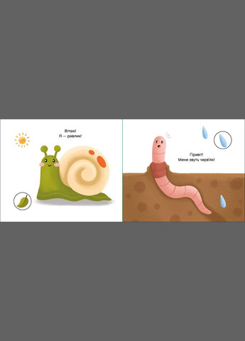 Книга В цветнике. Моя книжка-раскладушка. Автор – Мирошниченко Н. ( ) РАНОК (338864977)