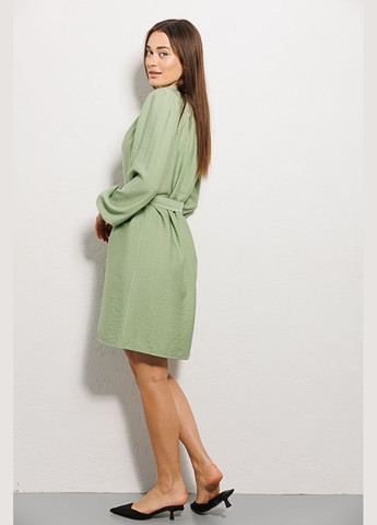 Салатова коротка сукня з довгими пудровими рукавами Arjen