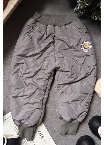 Штани зимові дитячі сірі 10590 No Brand (305404632)