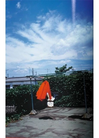 Книга Araki. 45th Ed. (9783836582520) Taschen (364656190)
