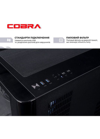 Компьютер Gaming (A99X.64.S20.96XT.22105) Cobra (357210210)