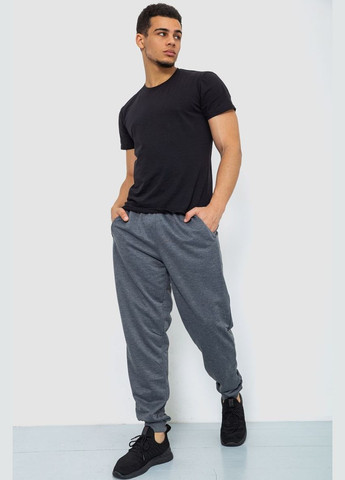 Спорт чоловічі штани Ager 244R41386 (293849974)