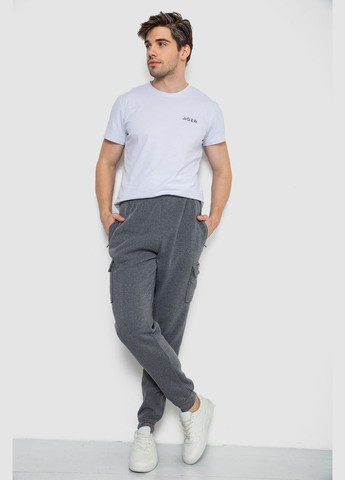 Спортивні штани чоловічі на флісі Ager 244R41207 (306816526)