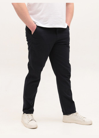 Штани чоловічі темно-сині тонкі прямі Wise Пряма (329996660)