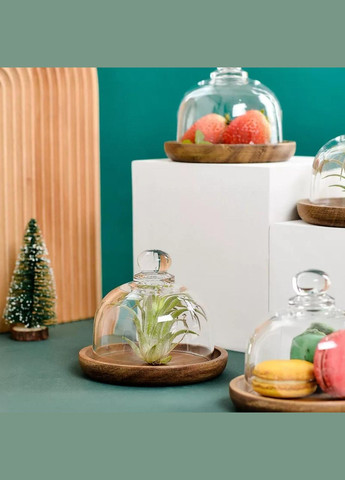 Стеклянная лимонница с крышкой на деревянной основе Hell (303213206)