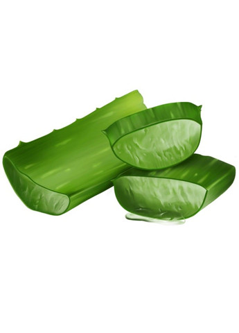 БІО-Спрей для термозахисту волосся 150 мл Logona (298055714)