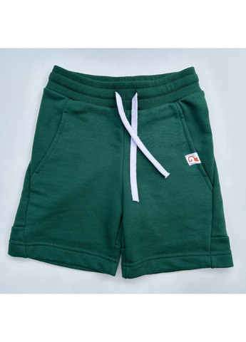 Шорти для хлопчиків Ginger Cat (372665639)