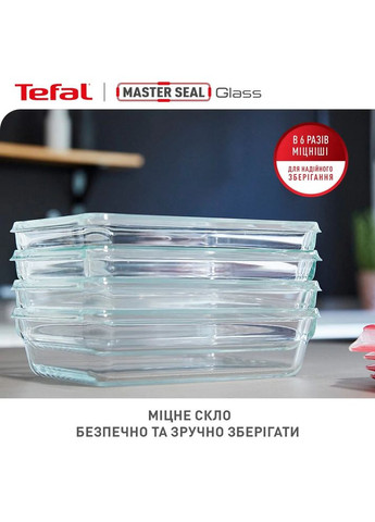 Набор контейнеров Master Seal 3шт (N1050910) Tefal (314802035)