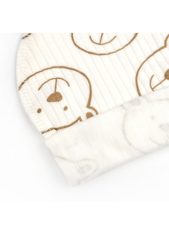 Шапочка Dexter`s с подворотом из интерлока bear on milk 38 dexter's (370216188)