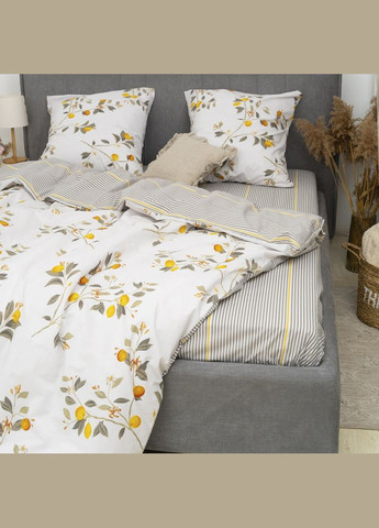 Комплект постельного белья семейный ранфорс Viluta 24317-sm (308794660)