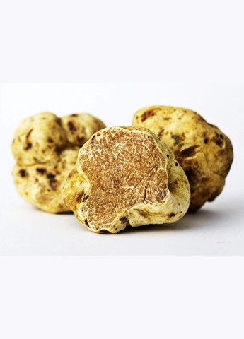 Трюфель білий 5 г Насіння країни (328606993)