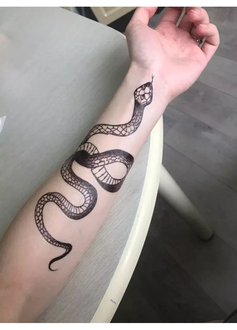 Тимчасове тату Змія 24х10 см tr100 Tattoo (366891000)