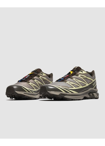 Коричневі Осінні кросівки чоловічі salomon xt-6 gore-tex vintage khaki brow саломон xt-6 No Brand