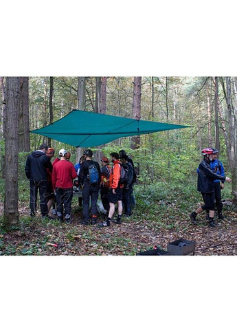 Тент 4 х 6 (TRT-102.04) Tramp (322199881)