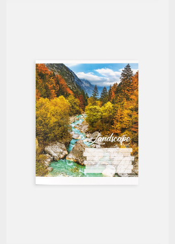 Тетрадь школьная в линию цвет разноцветный ЦБ-00255167 Фабрика Поліграфіст (307362235)