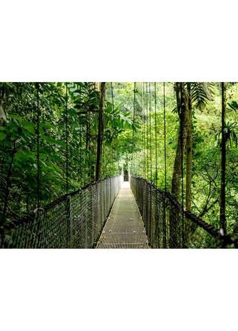 Ноутбук B9ZH9ET Probook 4-G1a 16" WQXGA IPS, AMD R7-250, 48GB, F1024GB, UMA, Win11P, HP (361965852)