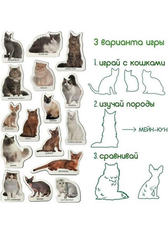 Набор магнитов "Породы кошек" ML4031-13 EN MAGDUM (305314591)