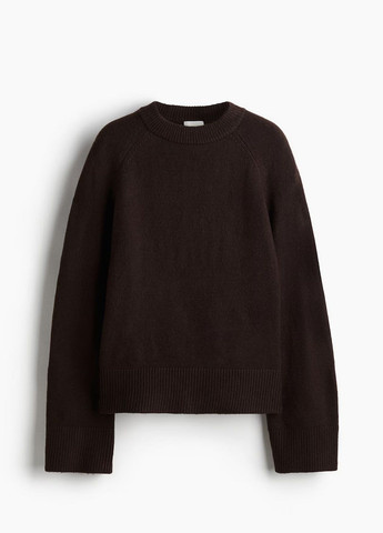 Темно-коричневий демісезонний светр H&M