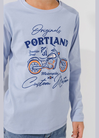 Голубой демисезонный повседневный лонгслив Ecrin