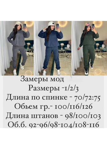Костюм теплый,двусторонний флис Полар,Турция,брюки и худые удлиненная Україна (355463049)