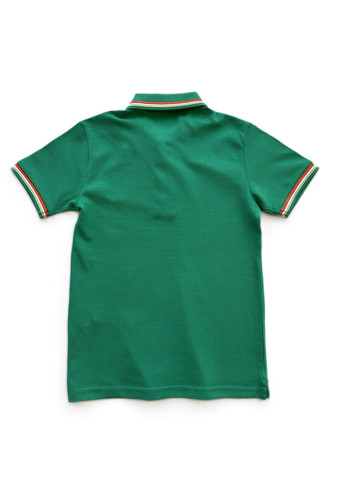 Зеленая детская футболка-футболка-поло для мальчика 2000-27 зеленый (122 см) для мальчика OVS однотонная