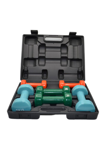Набір гантелей в кейсі 12 кг. 4118 Fitness Dumbells (2шт.*1кг. 2шт.*2кг. 2шт.*3кг.) PowerPlay (315717947)