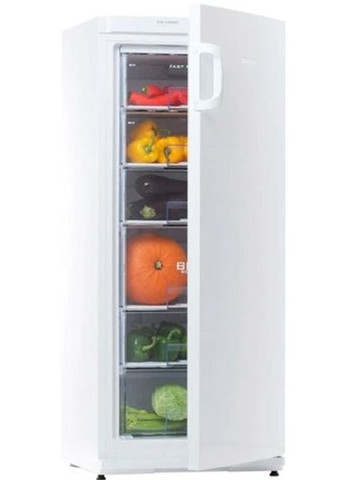 Морозильная камера F22SM-T1000E SNAIGE (360409212)