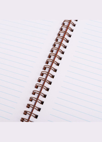 Зошит А4 Line Friends Sally 765736 80 аркушів Yes (364492261)