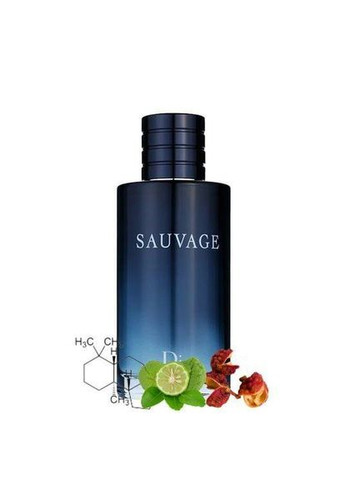 Духи тестер чоловічі Dior Sauvage eau de parfum Парфумована вода для чоловіків 100 мл No Brand (366734720)