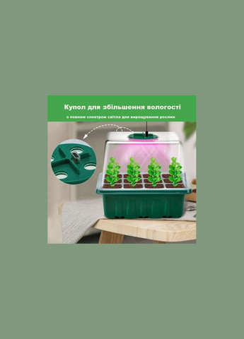 Набір універсальних лотків GrowBox для пророщування рослин зі світлодіодним світлом 19*15 см 4 шт No Brand (351456584)