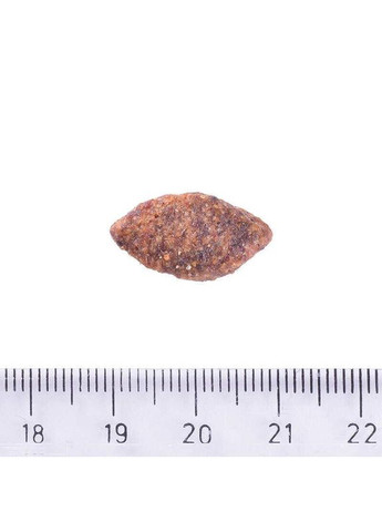 Сухий корм Grain-free Sensitive Venison 12 кг 172210 Brit Care (338255938)