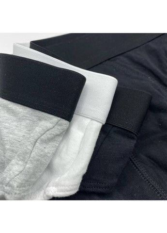 Набір чоловічих трусів Livergy сліпи (349817961)