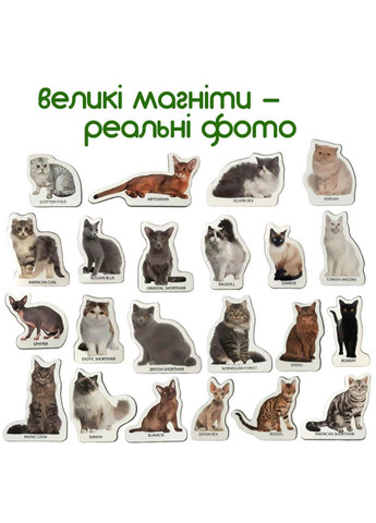 Набір магнітів "Породи кішок" ML4031-13 EN MAGDUM (334156637)