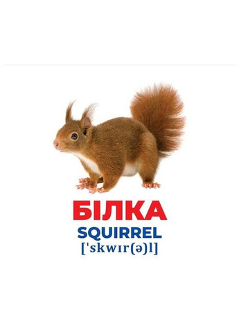 Набор развивающих карт Гений с пеленок "Животные Украины" Утро 10107192У, 17 карт No Brand (330610171)