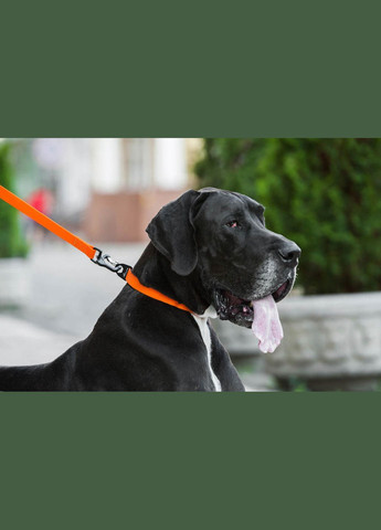 Повідець "Еволютор" 25 мм/210 см Жовтогарячий Evolutor (322124667)