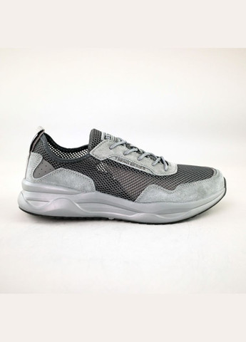 Сірі кросівки чоловічі сітка Baas