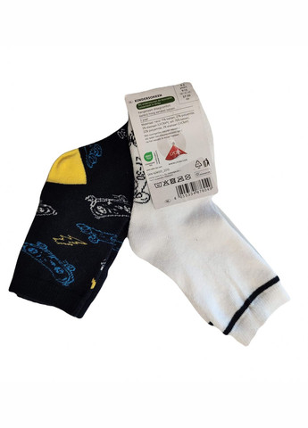 Комбіновані шкарпетки трикотаж набір 2 пари для хлопчика 424001-х різнобарвний Lidl малюнки демісезон (305613408)