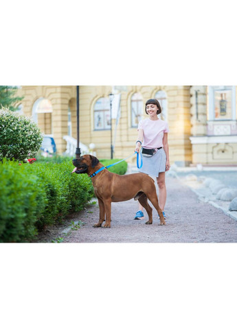 Поводок для собак водостойкий Waterproof, L-XXL, Ш 25 мм, Длинна 122 см голубой WAUDOG (322642009)