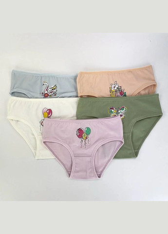 Трусики для девочек, хлопок — набор из 5 штук. Nicoletta Трусики (342119722)