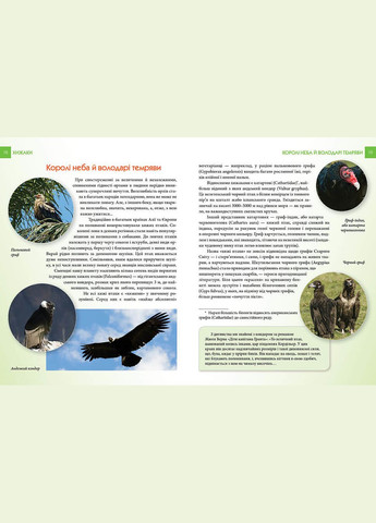 Хижаки. Гапченко Андрій Талант (349839093)