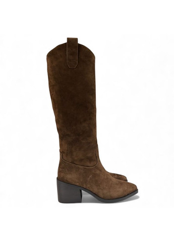 Зимние сапоги (р) замша 0-1-1-aw-1487-1-g-1244wj Danler